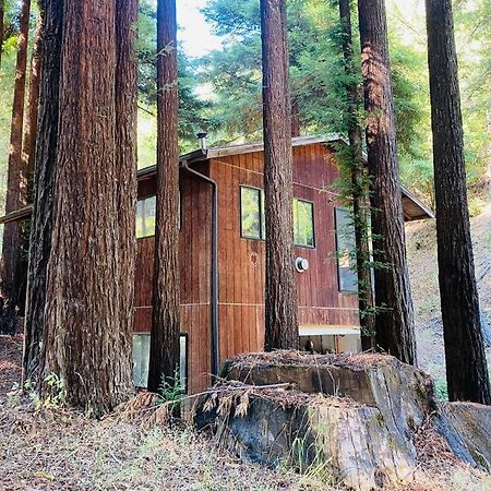 Апартаменти Little House In The Redwoods With A Hot Tub! Ґарбервілл Екстер'єр фото