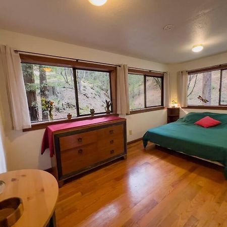 Апартаменти Little House In The Redwoods With A Hot Tub! Ґарбервілл Екстер'єр фото