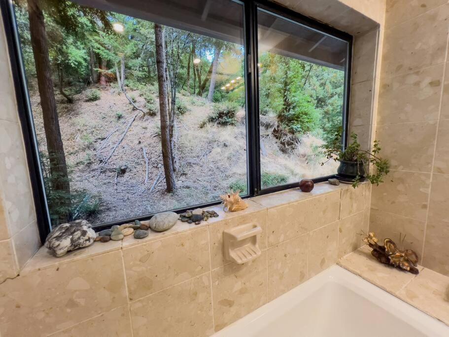 Апартаменти Little House In The Redwoods With A Hot Tub! Ґарбервілл Екстер'єр фото