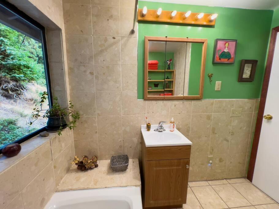 Апартаменти Little House In The Redwoods With A Hot Tub! Ґарбервілл Екстер'єр фото