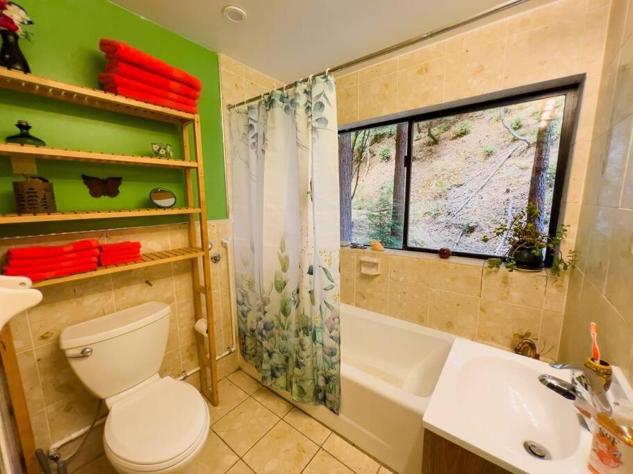 Апартаменти Little House In The Redwoods With A Hot Tub! Ґарбервілл Екстер'єр фото