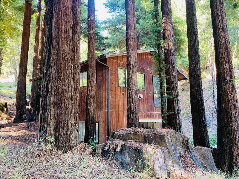 Апартаменти Little House In The Redwoods With A Hot Tub! Ґарбервілл Екстер'єр фото