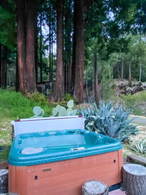 Апартаменти Little House In The Redwoods With A Hot Tub! Ґарбервілл Екстер'єр фото