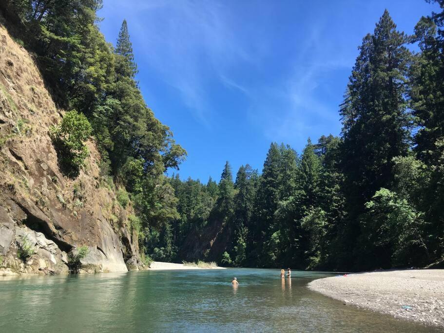 Апартаменти Little House In The Redwoods With A Hot Tub! Ґарбервілл Екстер'єр фото